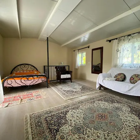Hébergement de vacances Agora Evi 2 *