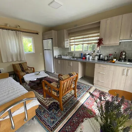 Agora Evi 2 Holiday home